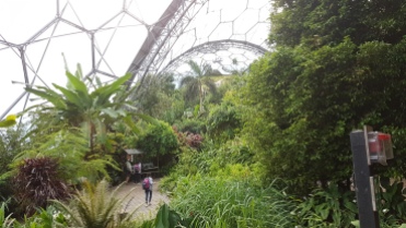 The Eden Project, Photograph © Tracey M Benson