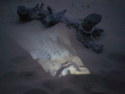 Projecting onto the sand at Narooma